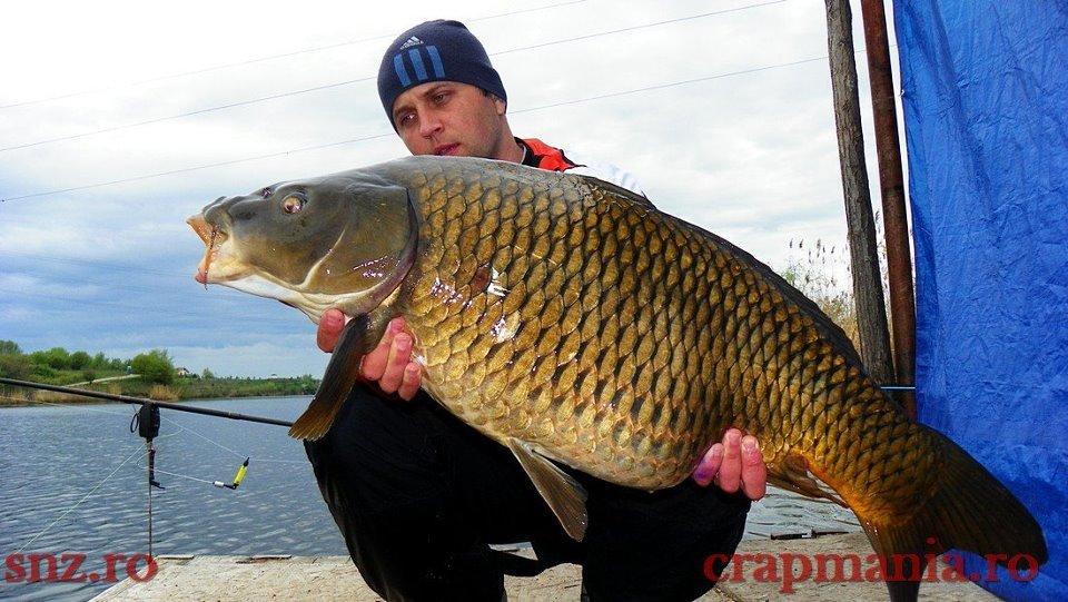 Partide 2010 - 2012 - tancabesti 2012 - 